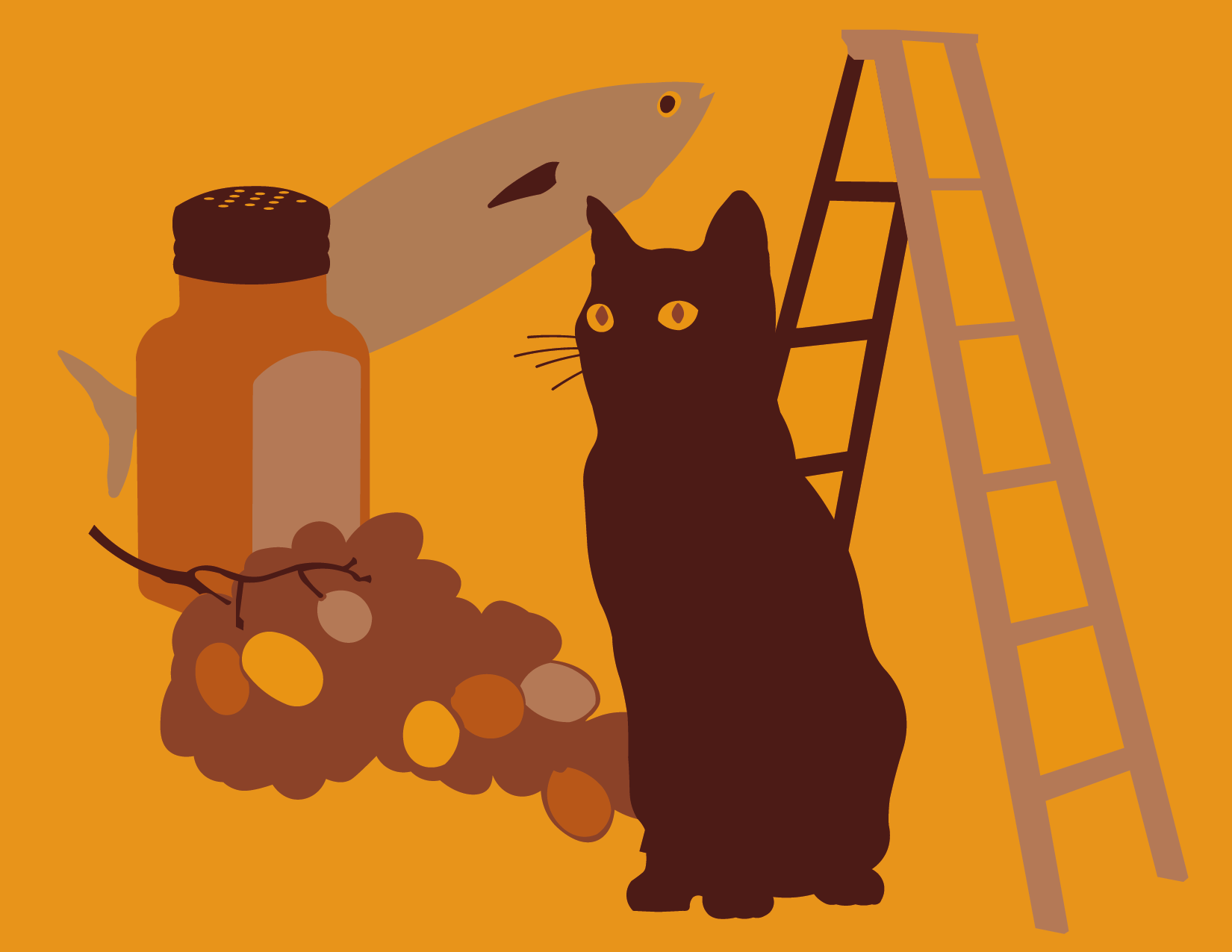 Superstițiile Facultății de Informatică