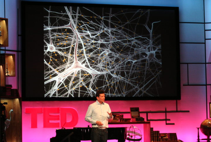 Proiectul Human Brain