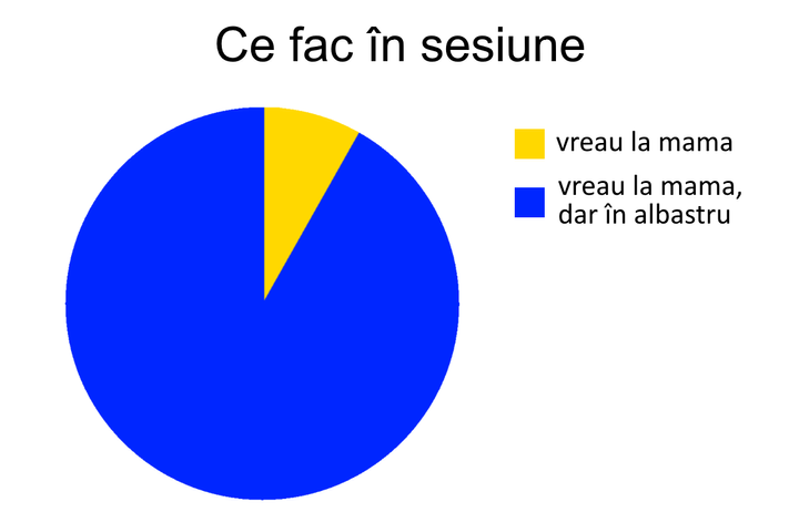 Studenții și sesiunea