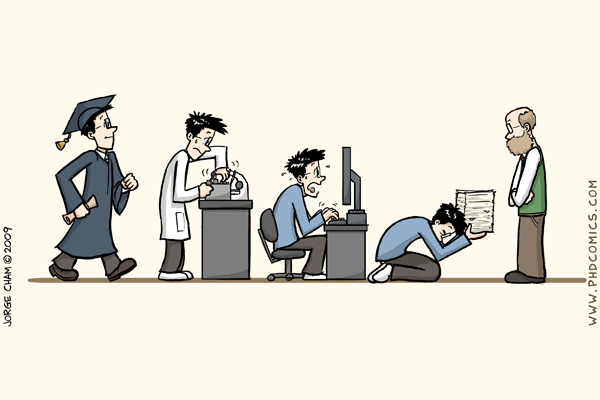 Lucrarea de licență