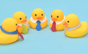 Fețe noi în vremuri tumultoase