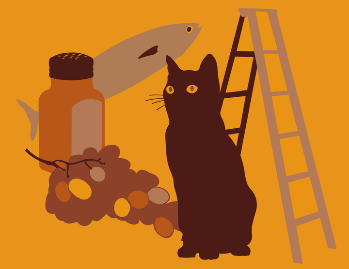 Superstițiile Facultății de Informatică