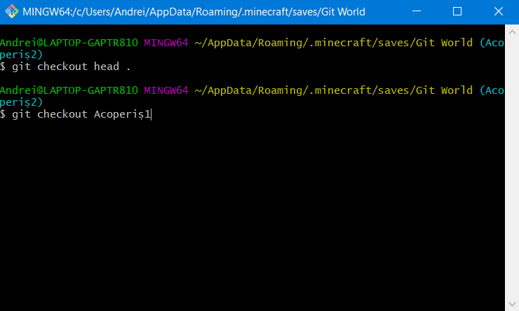 Imagine din git bash unde se comută către branch-ul Acoperiș1